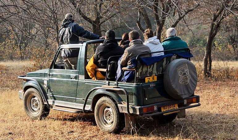 jeep safari booking in ranthambore