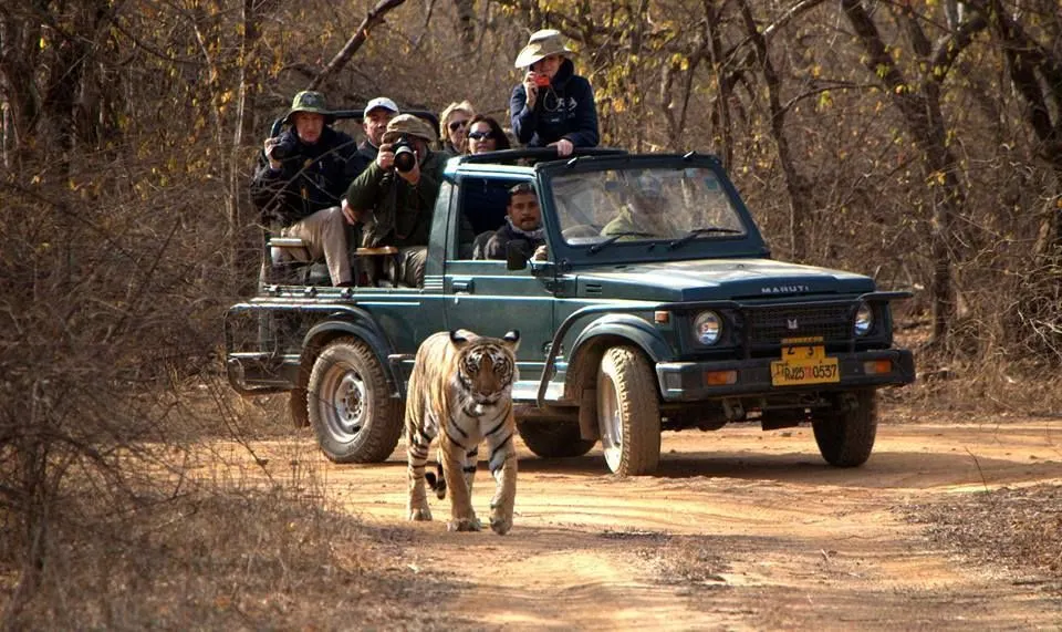 ranthambore jeep safari online booking